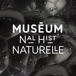 Logo of Muséum national d'histoire naturelle