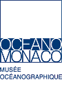 Logo of The Friends of the Oceanographic Museum de Monaco Association (AAMOM)