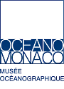 Logo of The Friends of the Oceanographic Museum de Monaco Association (AAMOM)