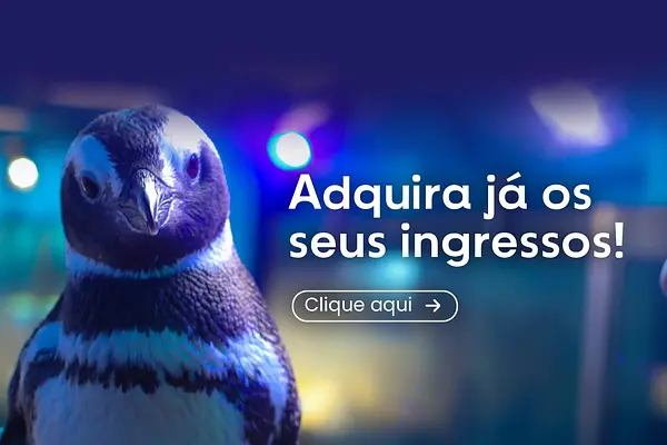 Aquário de Ubatuba, Brazil