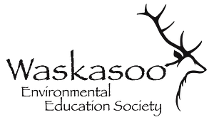 Logo of Fort Normandeau Historic Site and Interpretive Centre (Waskasoo Environmental Education Society)