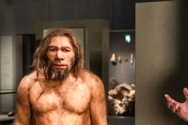 Jersey Museum and Art Gallery, Jersey