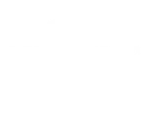 Logo of Langelands museum