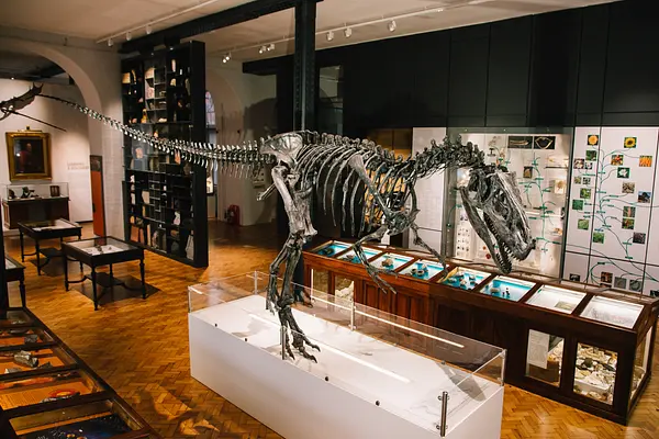 Lapworth Museum of Geology, United Kingdom