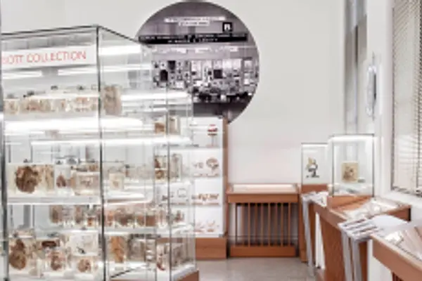 Maude Abbott Medical Museum, Canada