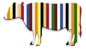Logo of Bauernmuseum Bamberger Land