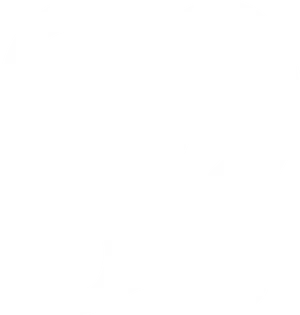 Logo of Bildarchiv Foto Marburg