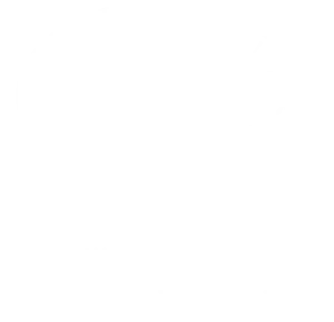 Logo of Brazauskų namai-muziejus