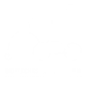 Logo of Deutsches Zweirad- und NSU-Museum Neckarsulm und Stadtmuseum