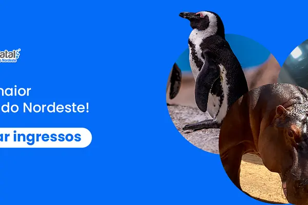 Aquário Natal, Brazil