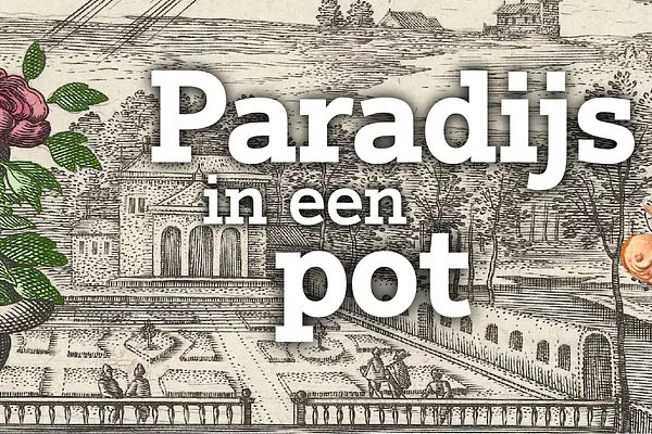 Archeologisch Museum Haarlem, Netherlands