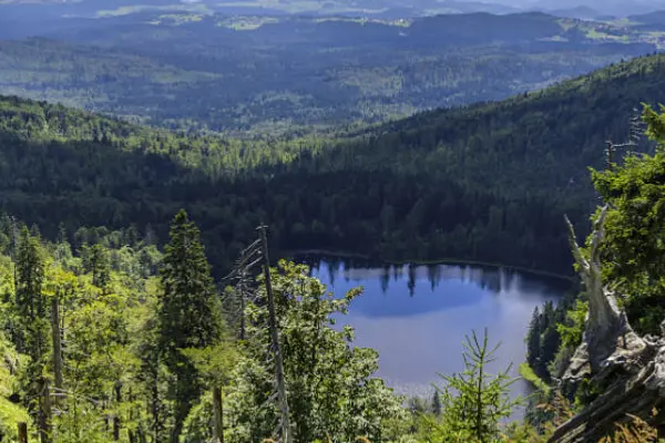 Böhmerwaldmuseum Wien, Austria