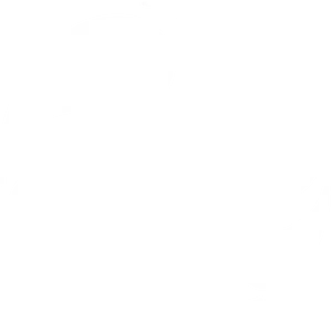 Logo of Canadian Museum of Nature