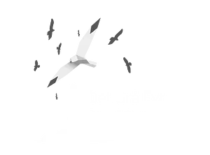 Logo of Det Grå Fyr