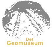 Logo of Det sorte Geomuseum
