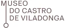 Logo of MUSEO DO CASTRO DE VILADONGA