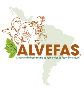 Logo of Latin American Association of Zoo & Wildlife Veterinarians (ALVEFAS)