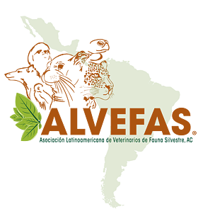 Logo of Latin American Association of Zoo & Wildlife Veterinarians (ALVEFAS)