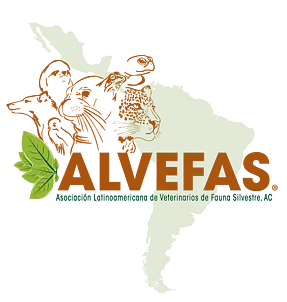 Logo of Latin American Association of Zoo & Wildlife Veterinarians (ALVEFAS)